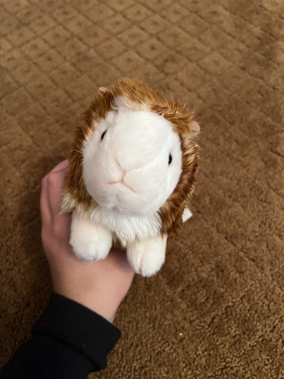 Douglas Cuddle Toy Cute Guinea Pig Stuffed Animal Plush Brown White Tan 9