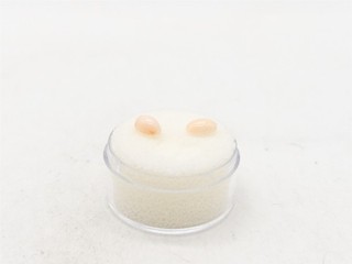 MATCHED PAIR 1.40cts Natural Angel Skin CORAL OVAL CUT Loose GEM SET