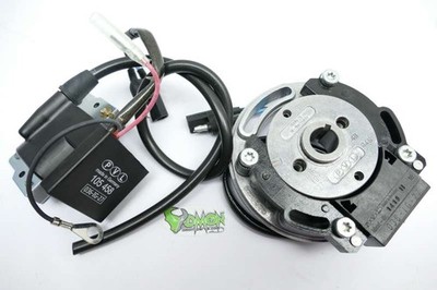 PVL analog System for Go Kart TM Coil 458115 Homologiert 036-IG-027 Stator 18...