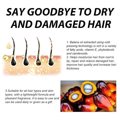 Batana Öl Für Haarwachstum – Stärkt Und Schützt, Für Dichteres, Volleres Haar, 150 G