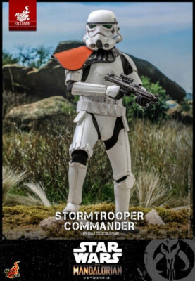 Hot Toys TMS041 Star Wars The Mandalorian Stormtrooper Commander 