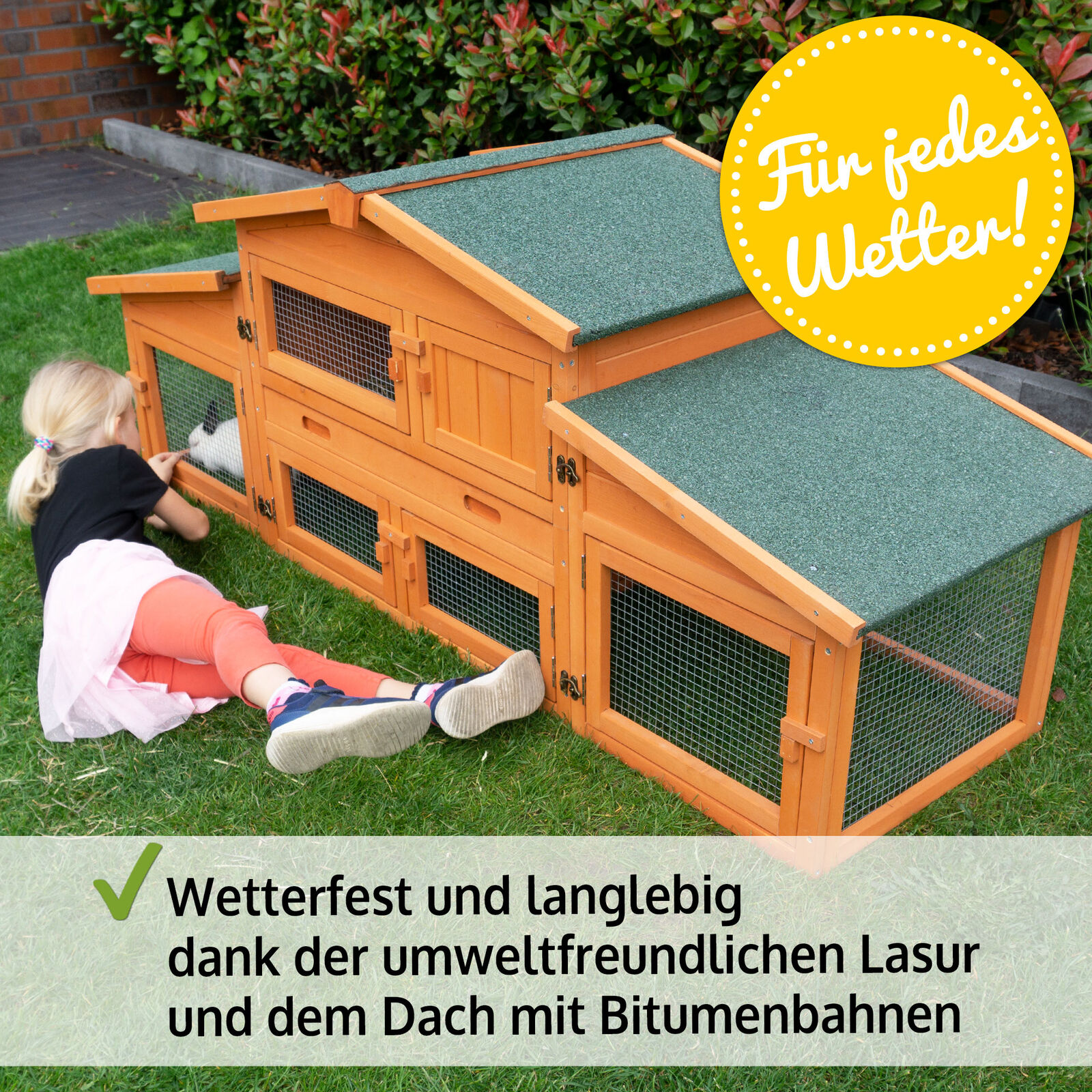 Bild 4 von 12