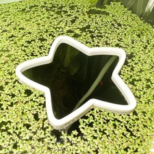 Fish Feeding Portal (Star) | Beta Training, F...