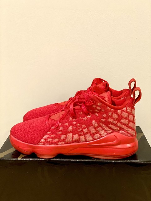 lebron 17 red kids