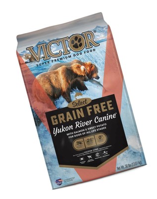 victor yukon river salmon