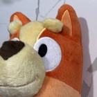 Foto 6 di 14