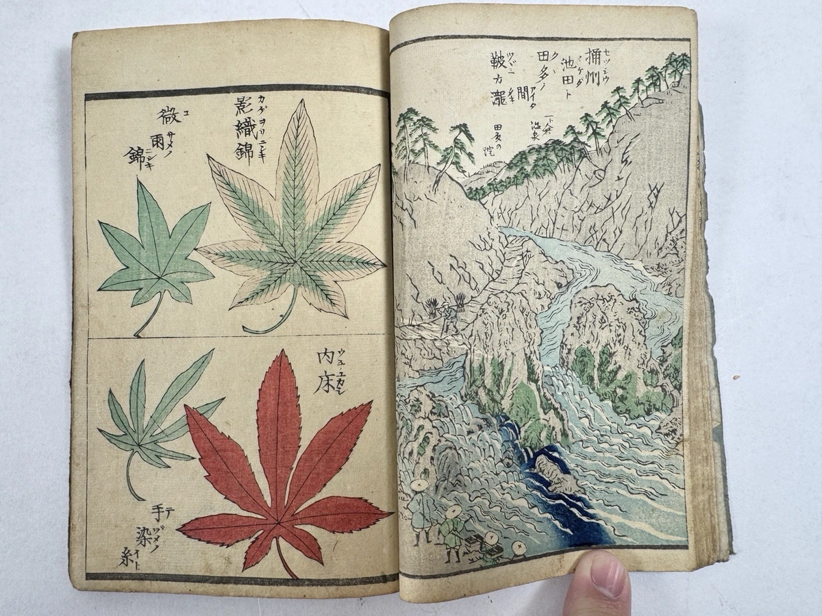 Art & Photography Asian Antiquarian & Collectible Books in