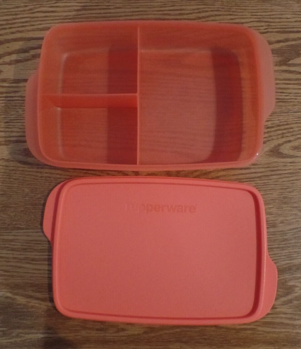 TUPPERWARE LARGE RECTANGLE LUNCH-IT DIVIDED DISH / CONTAINER GUAVA MEL –  Plastic Glass and Wax ~ PGW