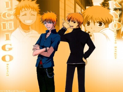 Anime fruits basket kurosaki ichigo sohma kyo Stitched Gaming Mat Desk