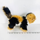 Foto 15 di 15