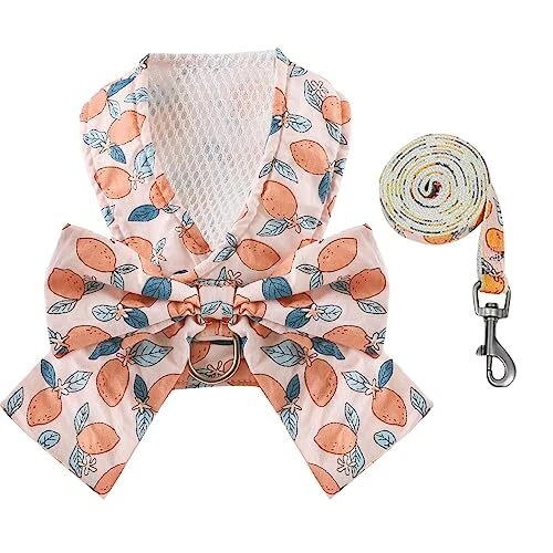 Dog Harness and Leash Set with Bow Knot No Pull Pet Floral Medium Orange