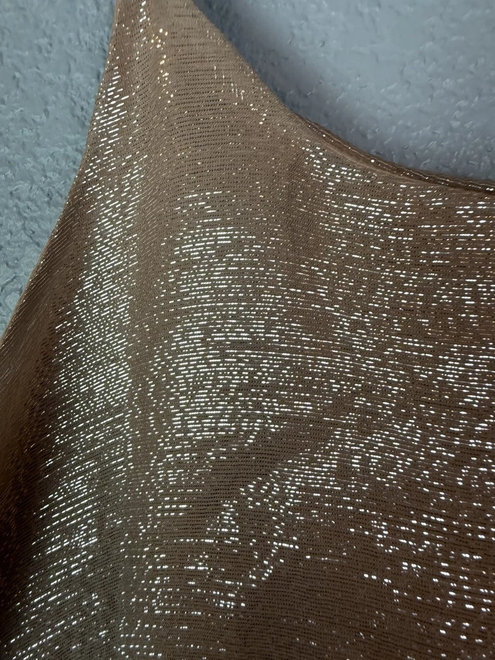 Camiseta sin mangas W118 Walter Baker para mujer mediana metálica seda correa ajustable transparente Foto 2 de 4