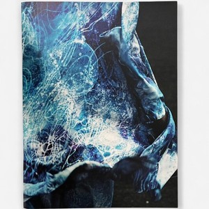Yohji Yamamoto Book | eBay