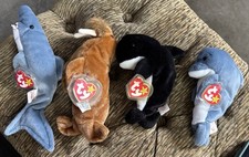 TY Beanie Babies Echo Dolphin, Waves Whale, Paul Walrus, And Crunch Shark
