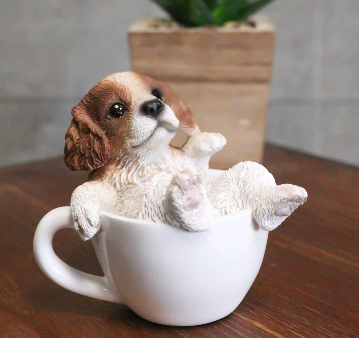 Mini top cup dog