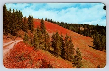 Vintage Postcard Spring Hill Old Lolo Trail Loscha River