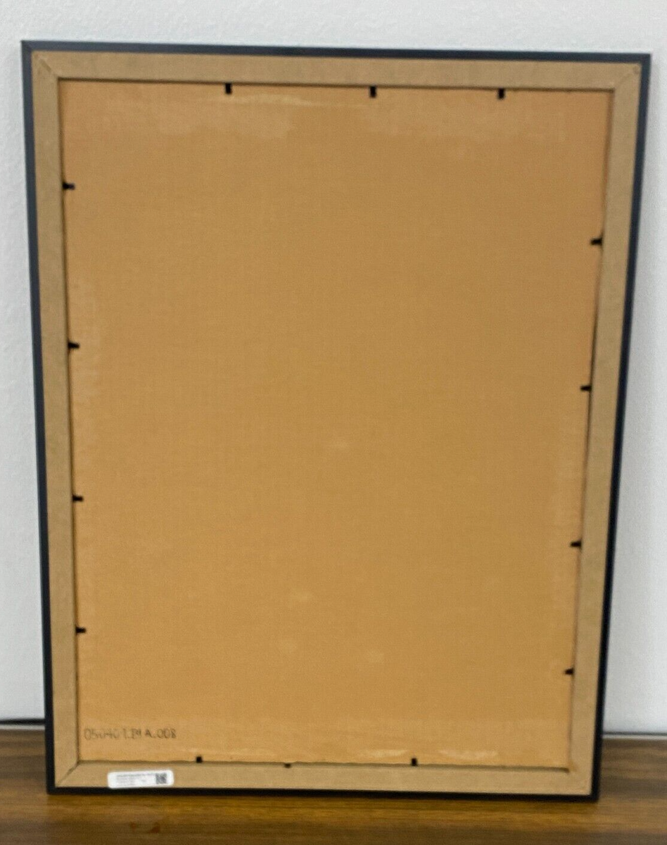 Framed Smithsonian Print of Wright Brothers EX “Vin Fiz” w