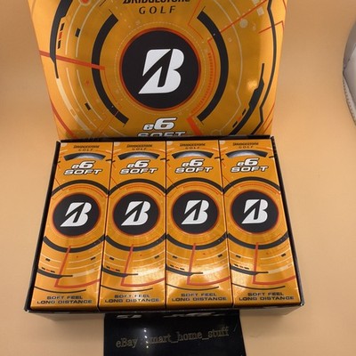 2 Dozen New Bridgestone 2025 e6 Soft Golf Balls White