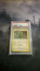 2024 Pokemon SWSH BSP Rayquaza #029 MINT 9 PSA Holo Premium Collection