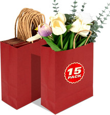 Gift Bags with Handles - 15 Pcs Gift Bag Bulk Paper Bag Goody Bags Kraft Paper B
