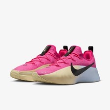 Nike LEBRON TR 1 FJ6151-602