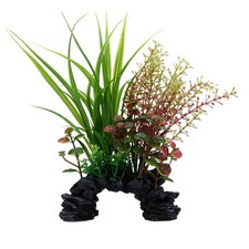 Fluval Aqualife Sagittarius/Rotala Plant Mix 6-8 inch