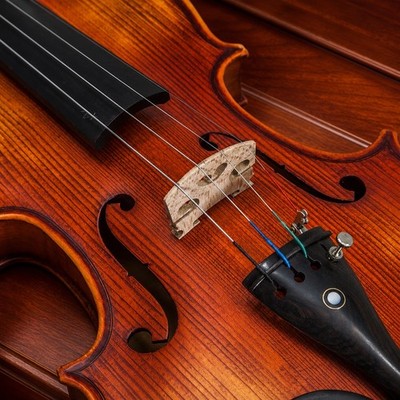 Old French Style Violin Paul Bailly 1901