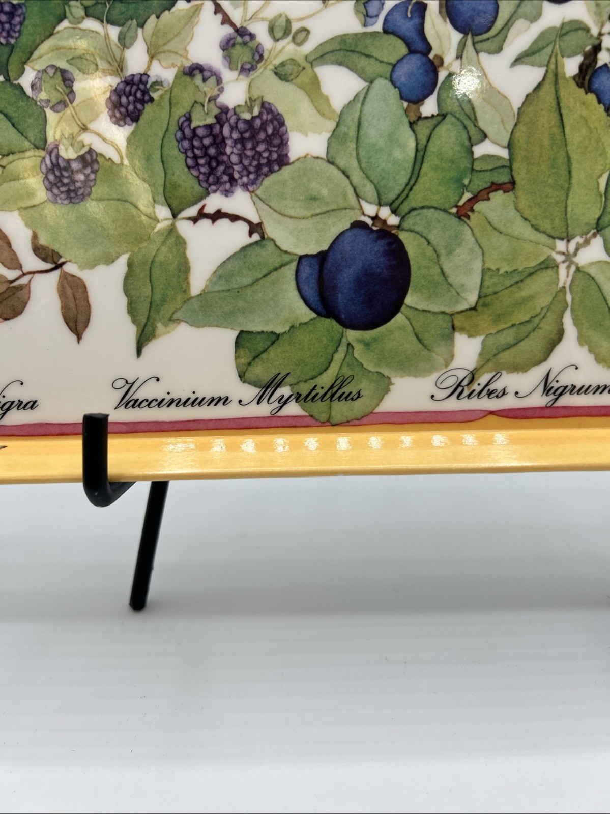 Tray Atelier Michele Trumel Design Imports Melamine Italy 10" x 12" Berry #6