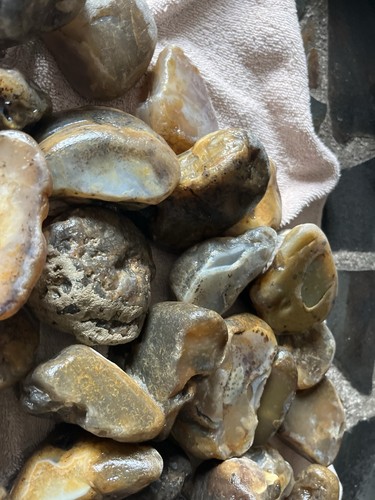 25 Lbs. Rough Montana Agate (44) - Picture 3 of 6