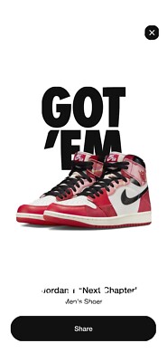 Air Jordan 1 High  Next Chapter  Men s 13