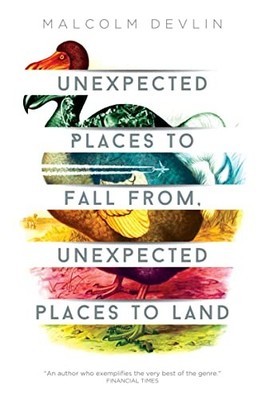 Unexpected Places to Fall From, Unexpected Places  by Devlin, Malcolm 191265816X