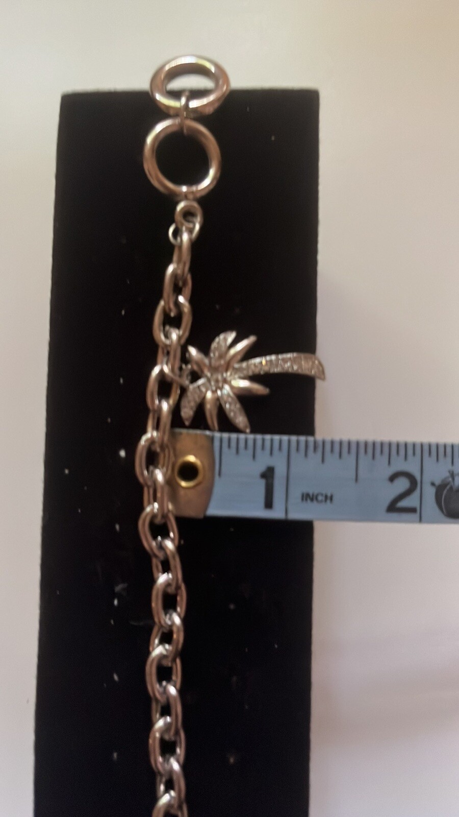 Picture 6 of 6