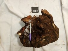 Manzanita Burl Wood 110