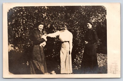 Postcard Three Women, Holding Cat, Kitten, Unidentified RPPC,  c1912, Foliage 
