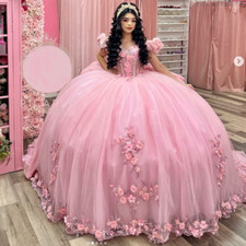 Pink 3D Flowers Quinceanera Dresses Off Shoulder Sweet 15 16 Princess Ball Gowns