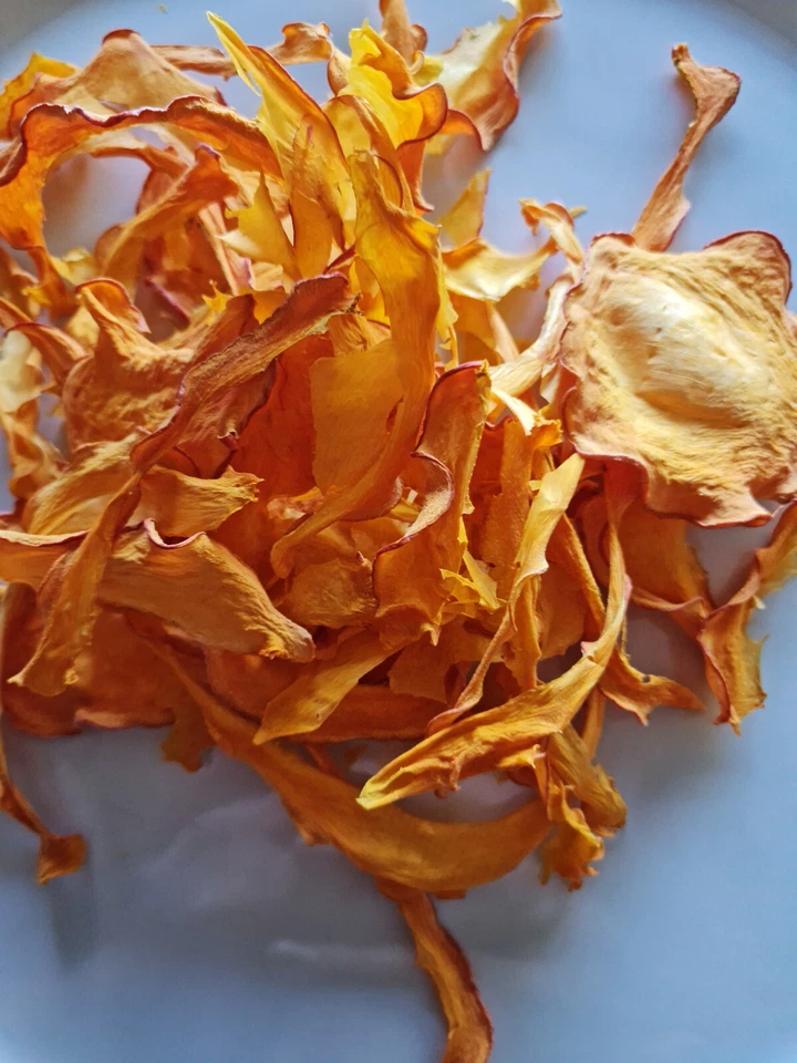 MARKENLOS 20g Hokkaido Kürbis ( Bio Chips / Streifen ) im Beutel für Schnecken, Welse usw