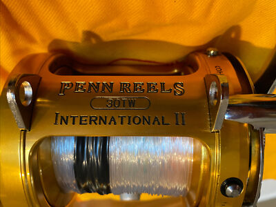 ペン インターナショナル2 30TW PENN INTERNATIONAL II 【公式通販】