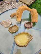 BEARDED DRAGON/LIZZARD VIVARIUM SET