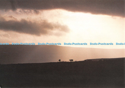 D123944 Sonnenuntergang über Wharfedale Bilder und Editionen Derek Harris