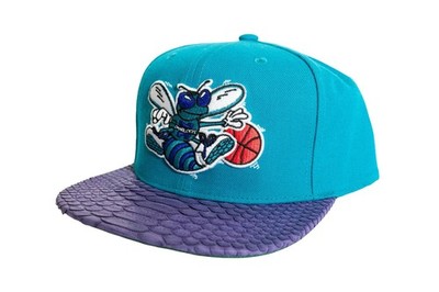 Mitchell & Ness Charlotte Hornets Basic Logo Python Hat