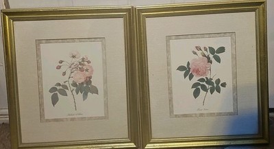 2 Franklin Picture Company Framed Rose Indica& Adelaide d'Orleans
