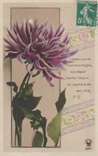 AA474 CPA Fantasy Friendship Has Faith Like Religion Its Hope Like Love