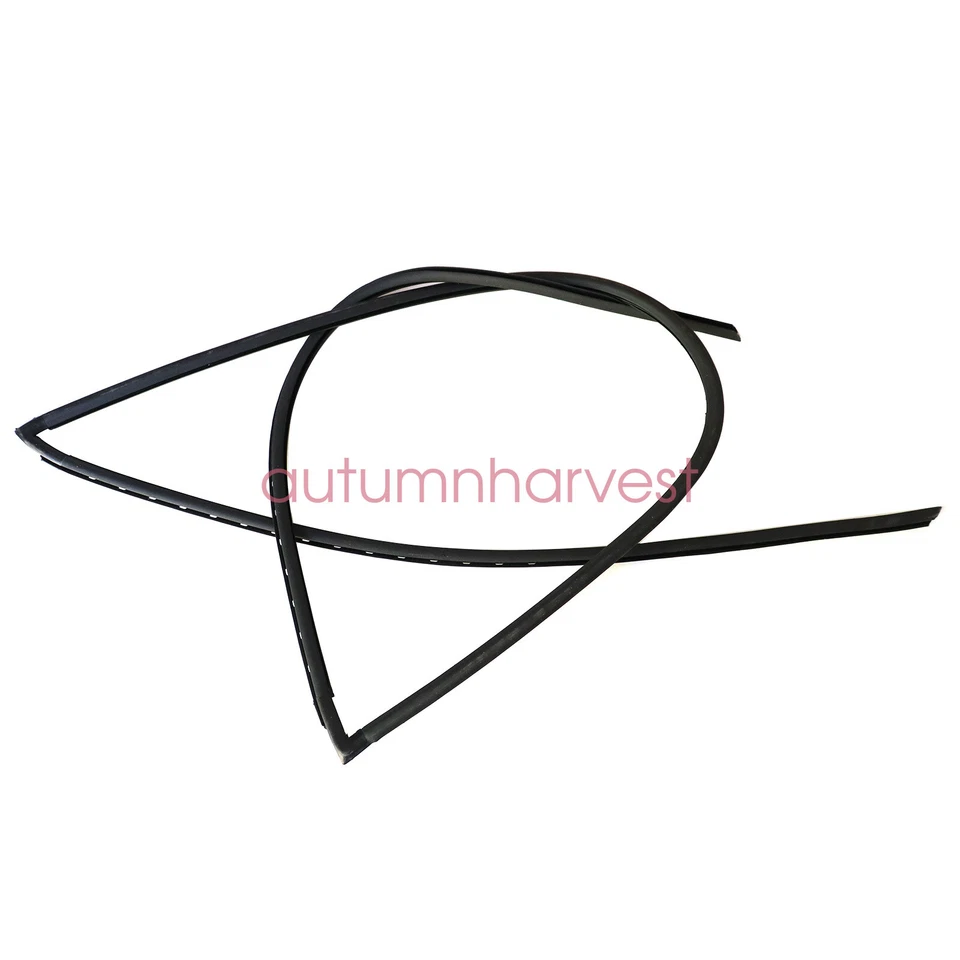 Moldura de sello de moldura de parabrisas 51318159784 para BMW M5 525i 528i 540i 530i Foto 4 de 4