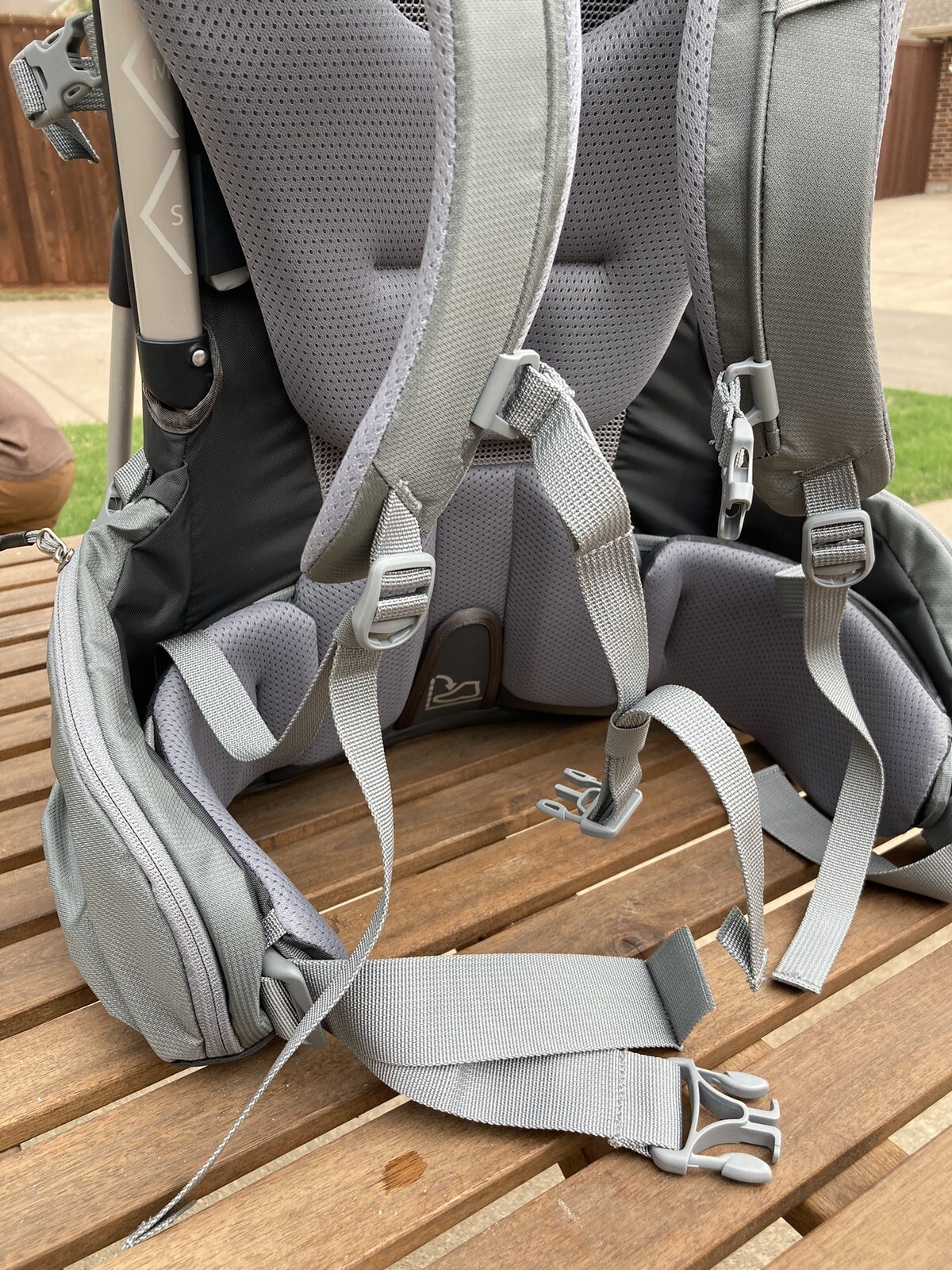Thule Baby Carrier