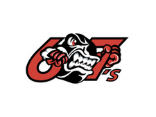 Ottawa 67s Ontario Hockey League Mens Embroidered Polo XS-6X, LT-4XLT OHL New