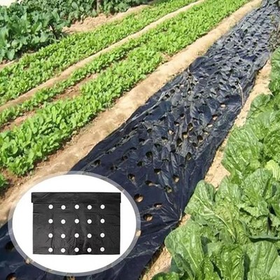 Garten Gemüse Mulchfolie Landwirtschaft Pflanze Grow Landwirtschaft Warmhalten Garten Matte