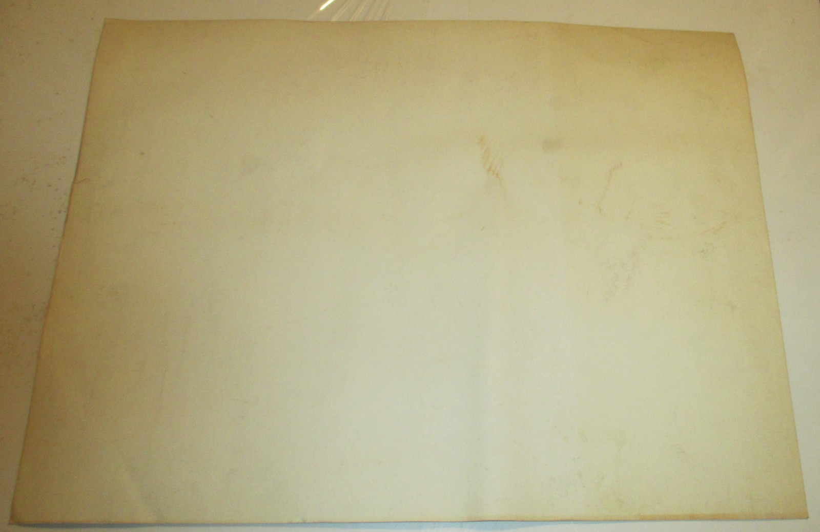 Rare Real 1969 Laura Nyro Live At Evanston Il. Northwestern University Poster!