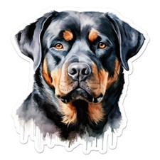 Rottweiler Dog, Vinyl Decal Sticker, Indoor Outdoor, 3 Sizes, 11387