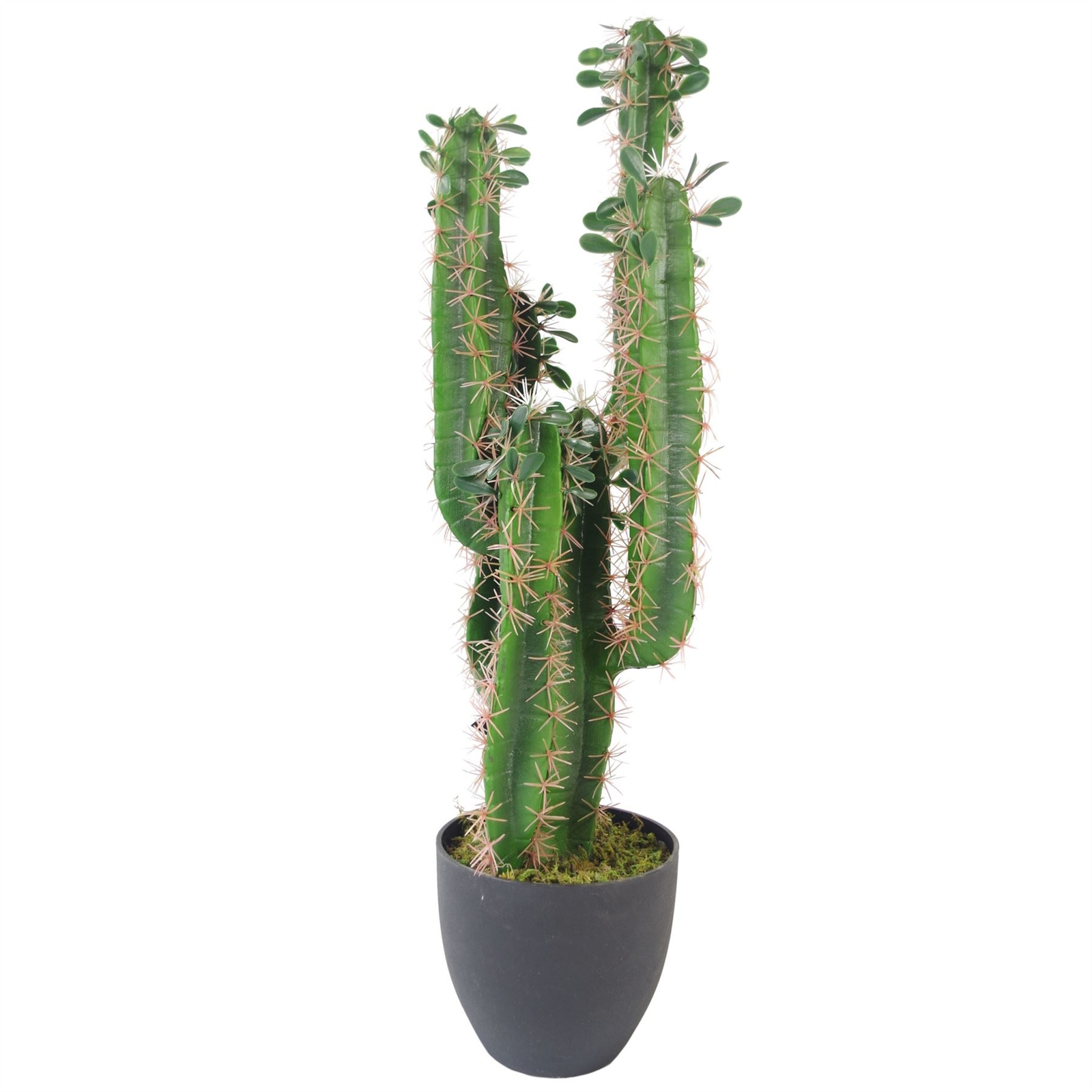 Artificial Cactus Cacti Plant Potted Black Pot 65cm Realistic Faux House Plants
