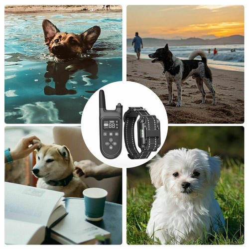 Antibell Hundehalsband Training 800M Erziehungshalsband Ton Vibration Schock DE - Bild 8 von 12